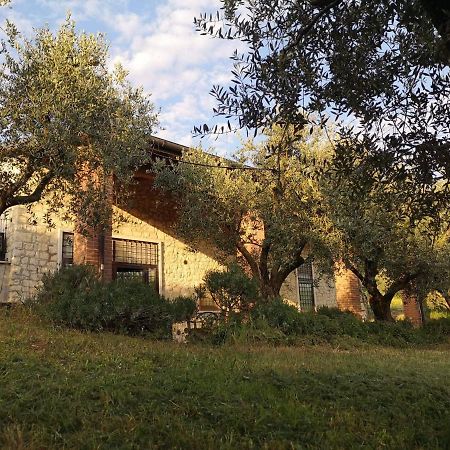 Agriturismo Bosco Magico Werona Zewnętrze zdjęcie