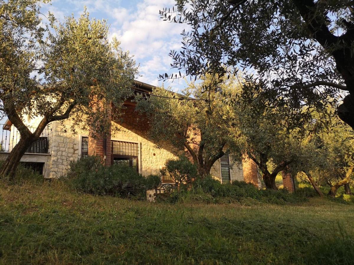 Agriturismo Bosco Magico Werona Zewnętrze zdjęcie