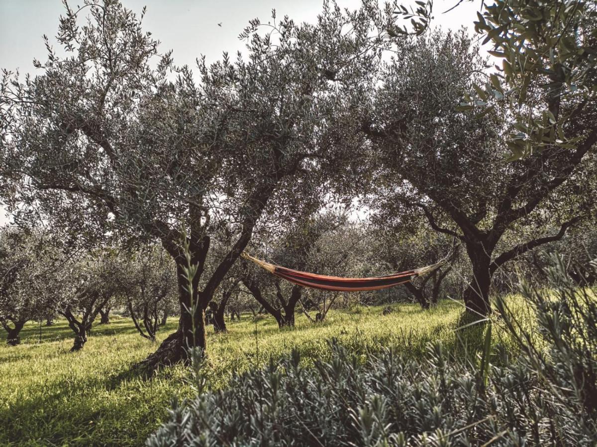 Agriturismo Bosco Magico Werona Zewnętrze zdjęcie
