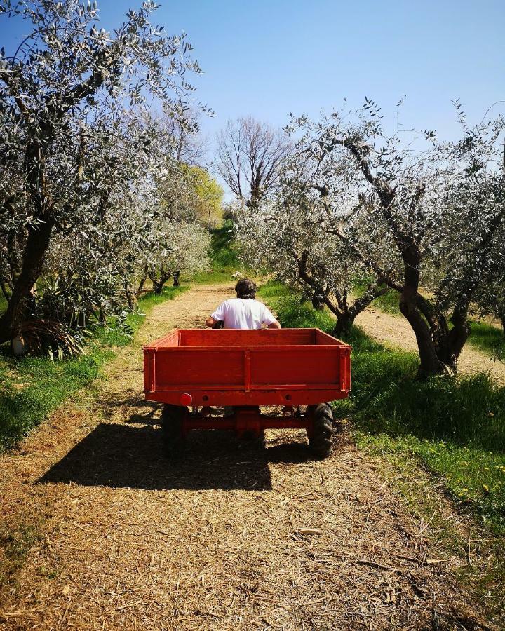 Agriturismo Bosco Magico Werona Zewnętrze zdjęcie