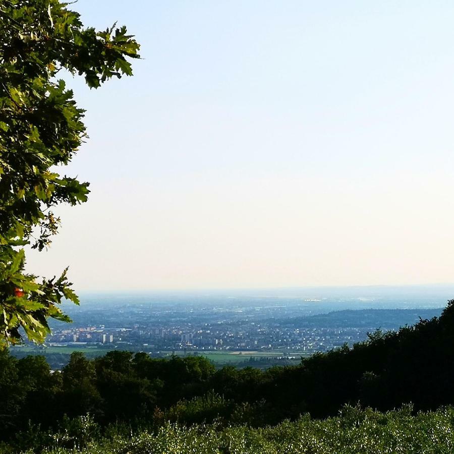 Agriturismo Bosco Magico Werona Zewnętrze zdjęcie
