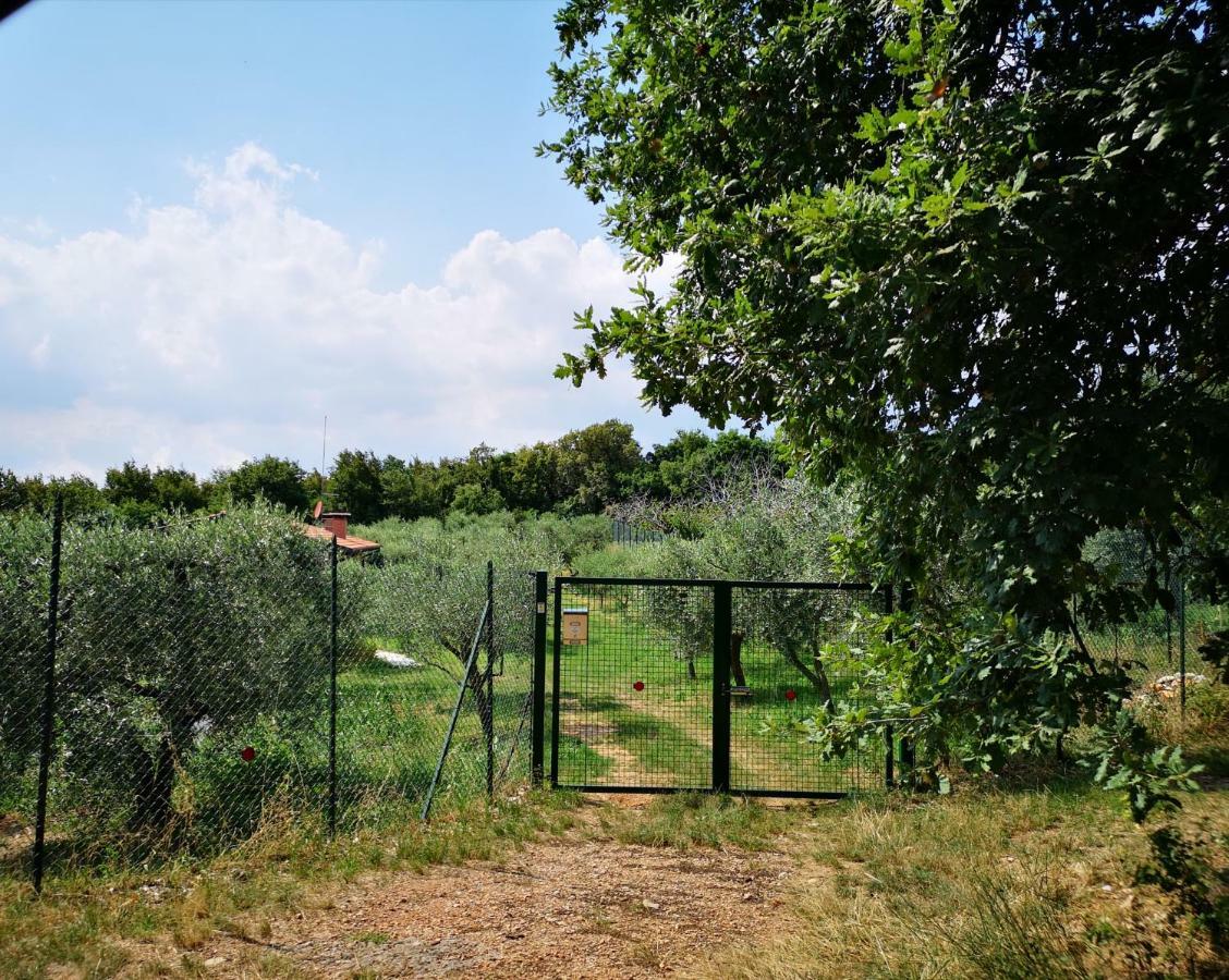 Agriturismo Bosco Magico Werona Zewnętrze zdjęcie