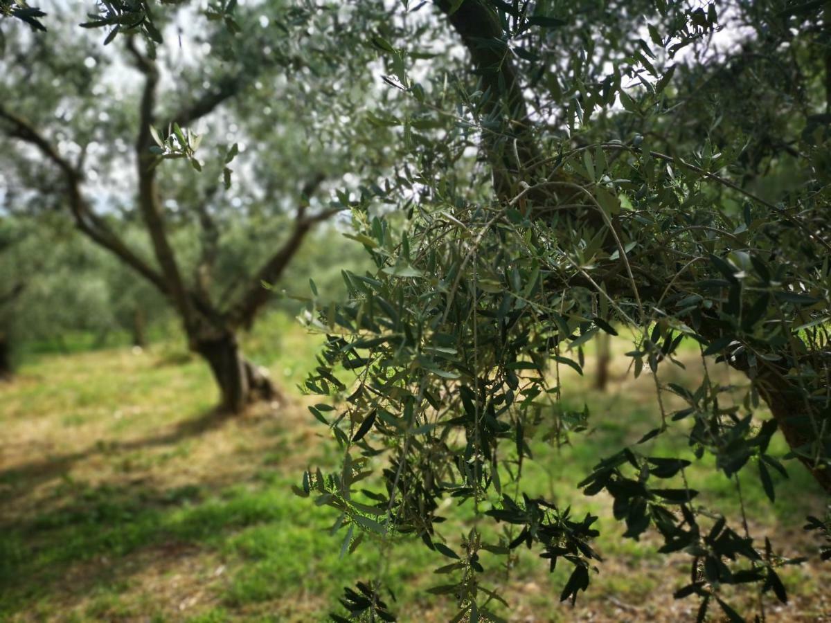 Agriturismo Bosco Magico Werona Zewnętrze zdjęcie